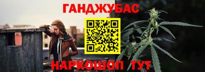 хмурый Абакан