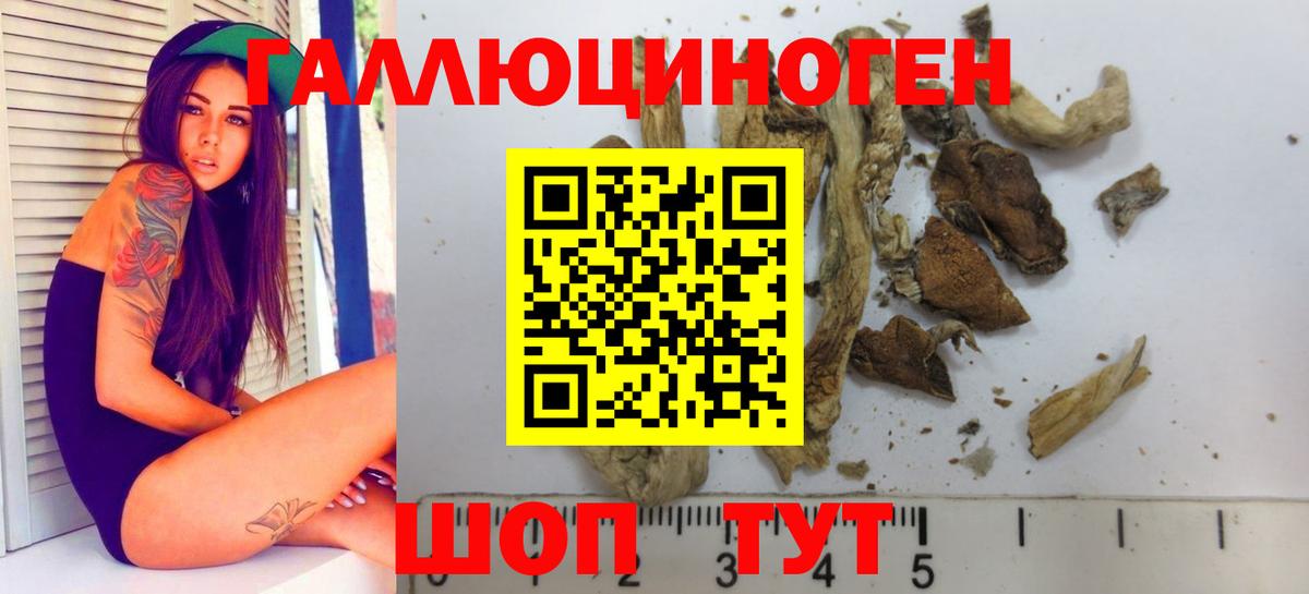 Псилоцибиновые грибы мухоморы  Псилоцибиновые грибы прущие грибы  Ангарск  цена наркотик  Вход с VPN 